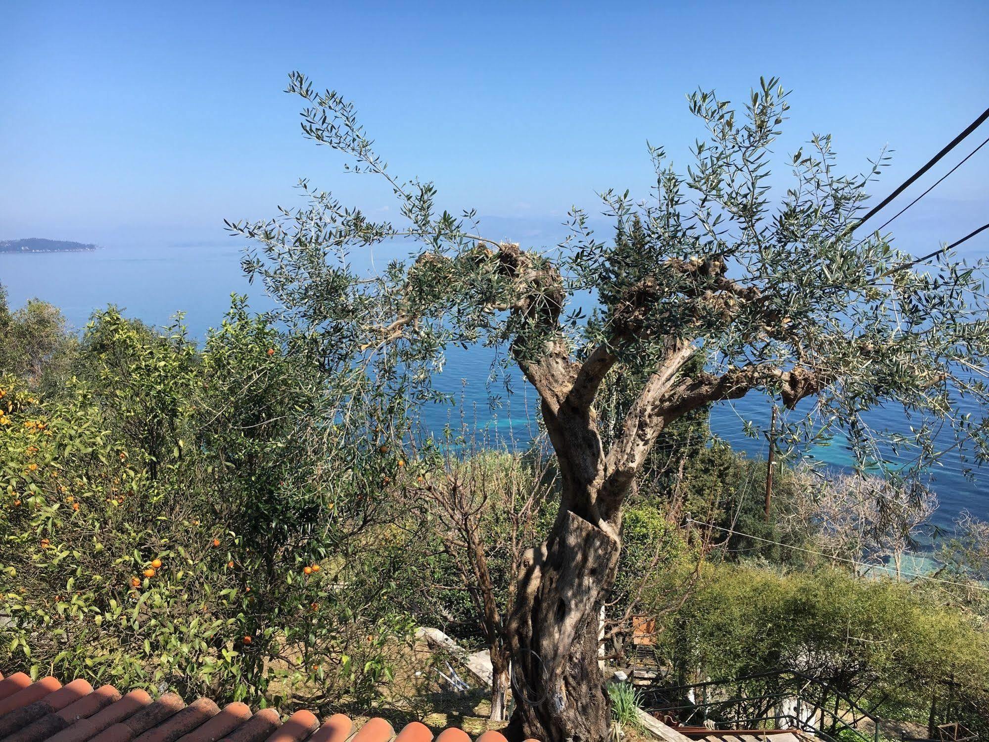 Casa Dei Venti Ξενοδοχείο Μπενίτσες Εξωτερικό φωτογραφία